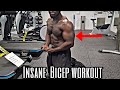 Intense Dumbbell Bicep Exercises (YOU NEED TO DO!)