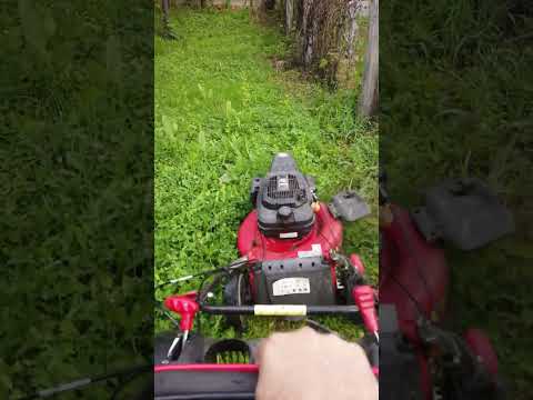 ADK 7 HP WR 225H motor mower  WR65828ABKS #tractor #mower #garden