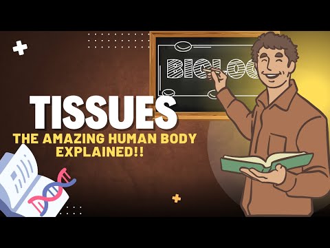 What are 4 Types of Tissues - Part 2 | Fun Science for Kids, Students & Homeschoolers