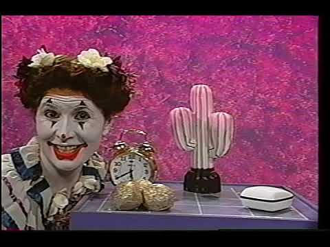 Blossom the Clown and Friends Present: The Rainy Day or any Day Fun Stuff Video (1995)