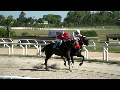 211217 c06 - REBELDE SIN CAUSA - HIPODROMO LAS PIEDRAS