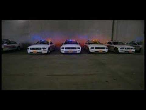 The Best Of Reno 911: Miami