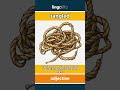 tangled (adjective) - definition and usage in English