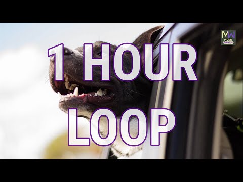 SO BUENO - THE 126ERS - SO BUENO BY THE 126ERS｜SO BUENO ★ 1 HOUR [MUSIC WORLD] 1 HOUR LOOP VERSION