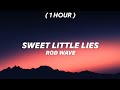 [1 Hour] Rod Wave - Sweet Little Lies
