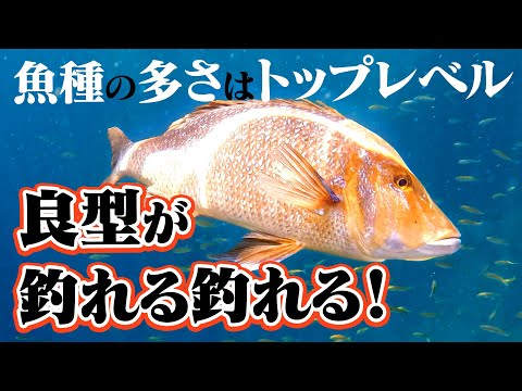 「城島健司・小林一史　五島列島スルスルスルルー 」【後編】