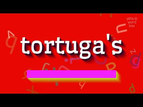HOW TO PRONOUNCE TORTUGA'S? #tortuga's