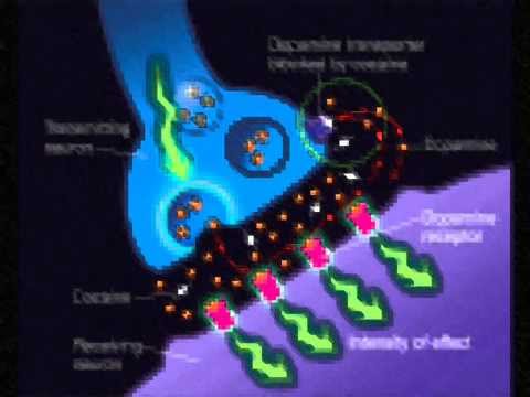 Morcheeba - Simply Everyone Takes Cocaine Ft. Murray Lachlan-Young