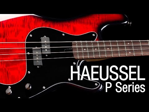Haeussel P-Series