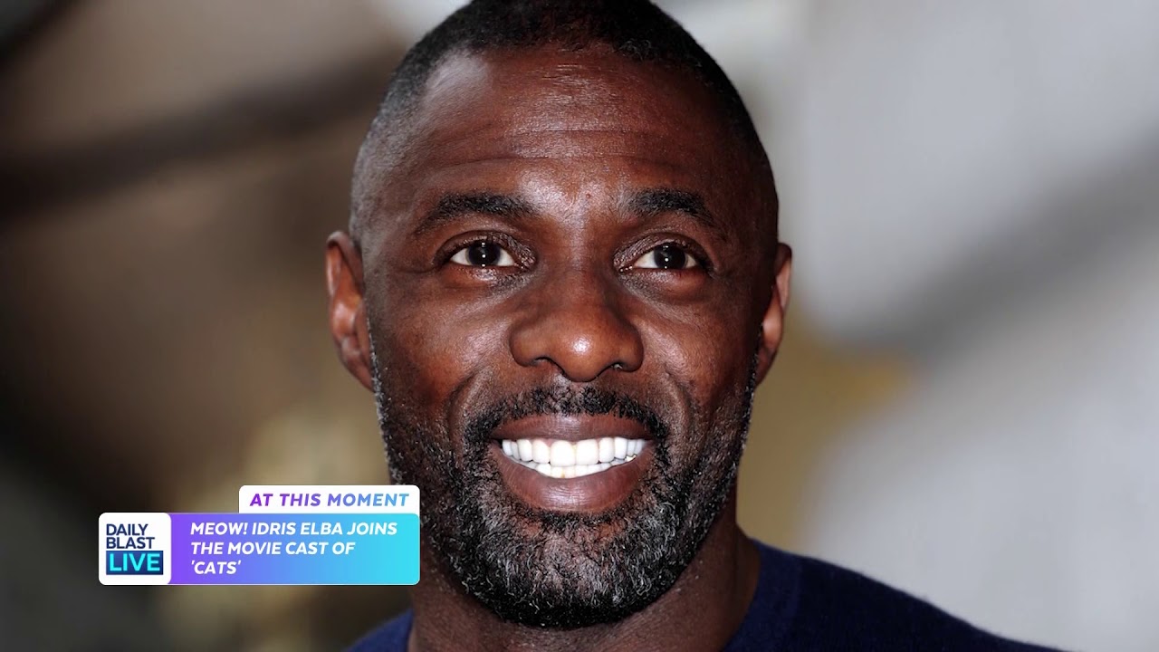 IDRIS ELBA IS JOINING THE CAST OF 'CATS'