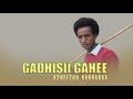 Asheetuu Kabbabaa Gadhisii Gahee Sirbaa Haaraa 2020