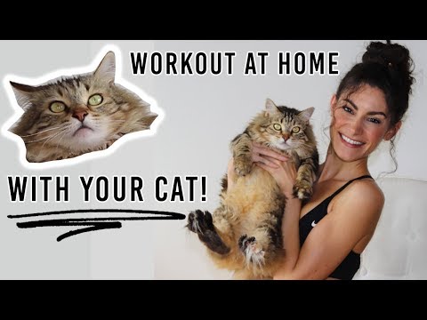 How to Workout at Home WITH YOUR CAT! | Alya Amsden