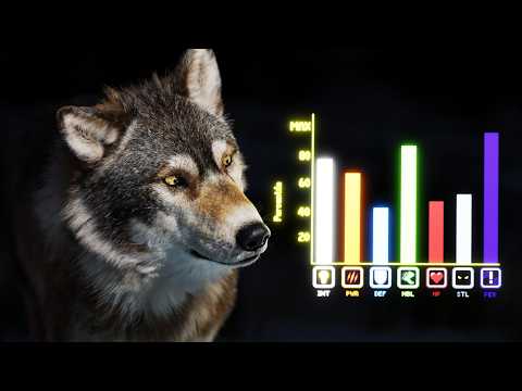 How Wolves Broke the Meta