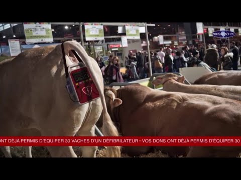 Danger présidentiel - Groland - CANAL+