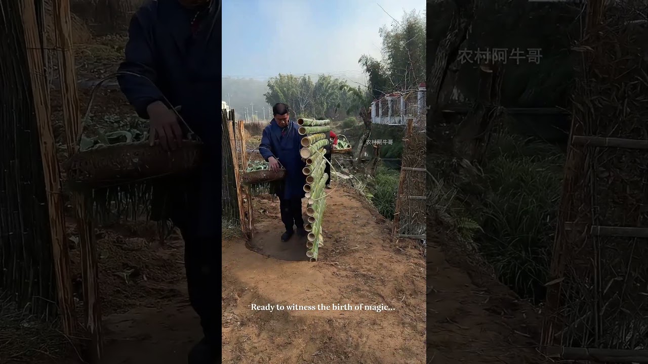 The 360-Degree Rotating Bamboo Gate 🎋🔄#diyprojects #farmlife #smartideas