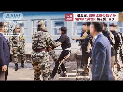 ブラックポプラ 植物