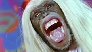 Lecherous Gaze - Animal Brain