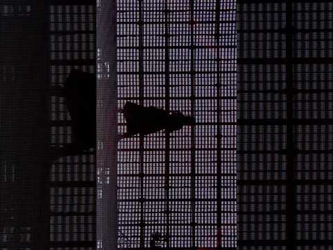 私は最強 #Adoよだか