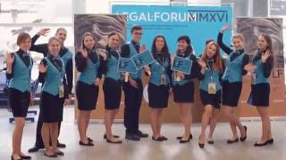 Волонтеры LF 2016