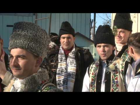 nunta de la udesti 31 decembrie 2015  1