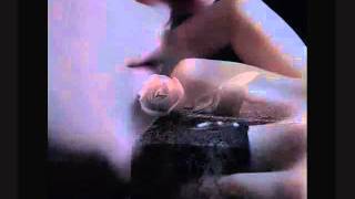 LOVE DON&#39;T RUN ........... STEVE HOLY.wmv