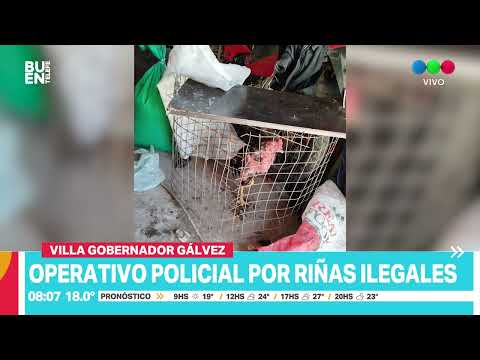 Detienen a catorce personas durante una riña de gallos en Villa Gobernador Gálvez