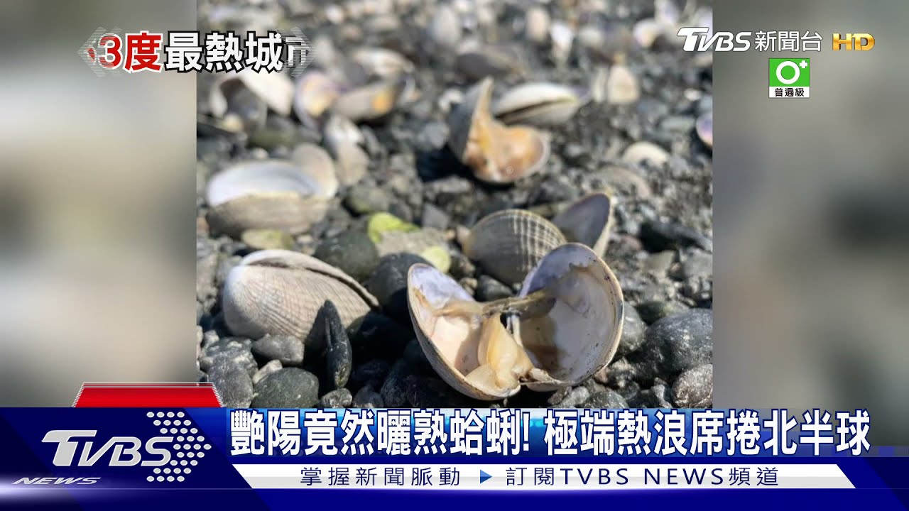 北半球熱得發燙 芬蘭極圈內城市凱沃寫140年來最高溫