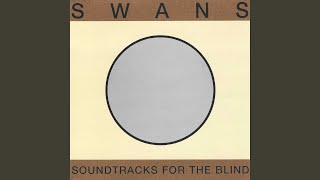 Music video thumbnail preview for The Beautiful Days by Swans