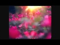 Lana Del Rey - National Anthem (Tensnake Remix ...