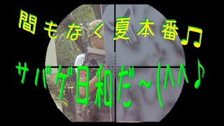 【サバゲー】:間もなく夏本番♫　ブッシュも茂ってサバゲ日和(^^♪