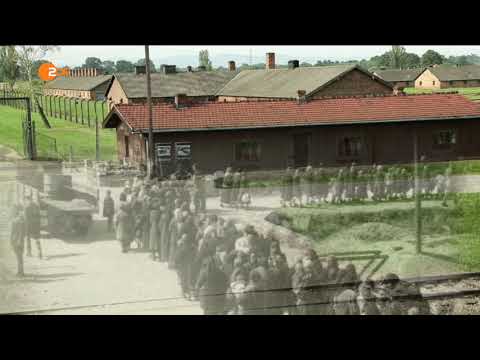 ZDF-History: Auschwitz - damals und heute Doku (2020)