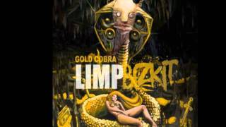 NEW Limp bizkit song - Get a life (2011)