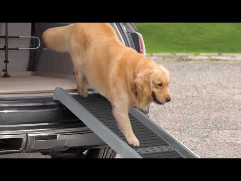 bmw x5 dog ramp