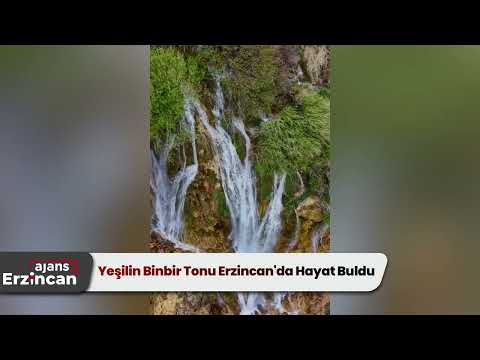 Yeşilin Binbir Tonu Erzincan'da Hayat Buldu