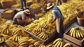 Agricultores Americanos Ganham Bilhões De Dólares Processando Frutas E Vegetais Dessa Maneira