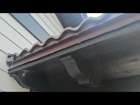 Carpenter Bees Damaging Restaurant in Deal, NJ