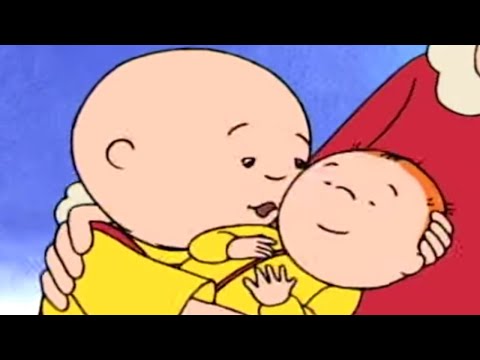 Oblutak Veliki Brat | Oblutak na Hrvatskom