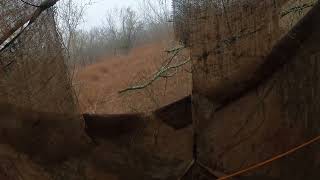 Foggy, Wet & Muggy-Close Call with Does and Day break