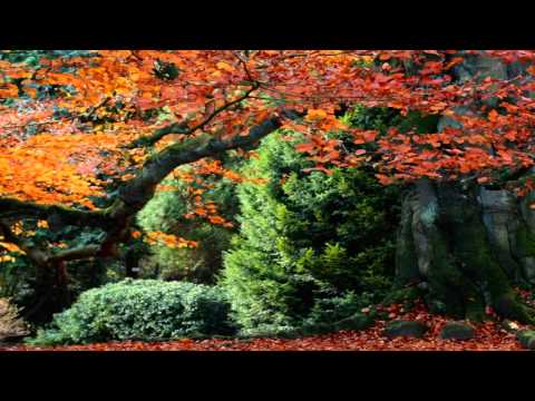 Bill Pursell ~ Autumn Magic