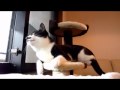 ��������u�����I�v��...