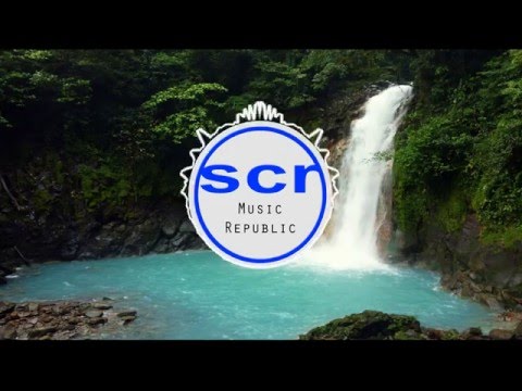 Carnage x Section Boyz - BIMMA