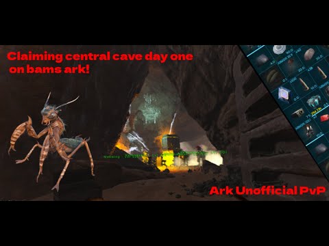 Claiming Central Cave On Day 1 │ Bam's Ark