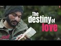 The Destiny of Love | Sunny Kaushal, Radhika Madan, Mohit Raina, Diana Penty | Streaming Now