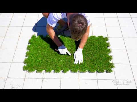 Видеообзор