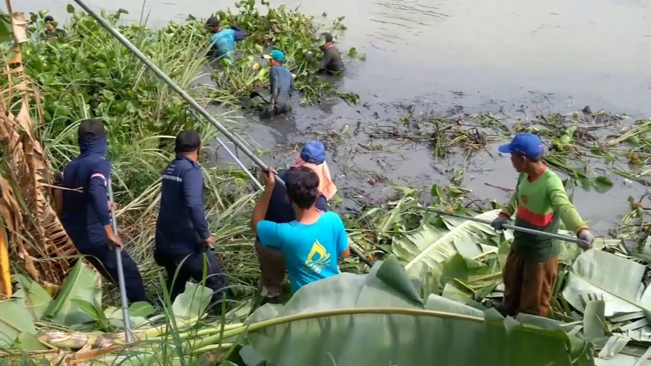 SATGAS CITARUM LAKUKAN PEMBERSIHAN SUNGAI IRIGASI