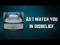 THE CHARLATANS - As I watch you in disbelief (Lyrics)