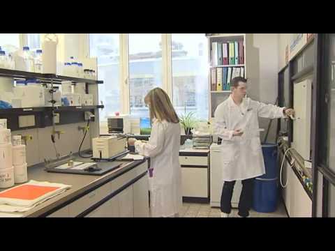 VdK-TV: GdB: Equal treatment with severely disabled people in working life