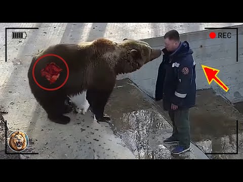 Animals That Asked People for Help & Kindness! #8 | D-Animal Grow Up