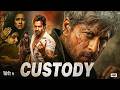 Dilwaale 0 2 2026 Blockbuster Drama Movie Shah Rukh Khan Kajol Varun Dhawan Kriti Sanon Full