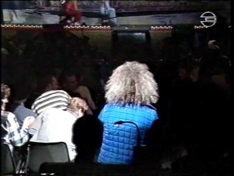 Die Kleine Tierschau - Voll Gas Kaskadeure